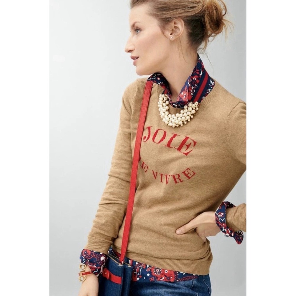 Talbots Crew Neck Sweater Joie De Vivre Camel Knit Jumper Graphic Size Small